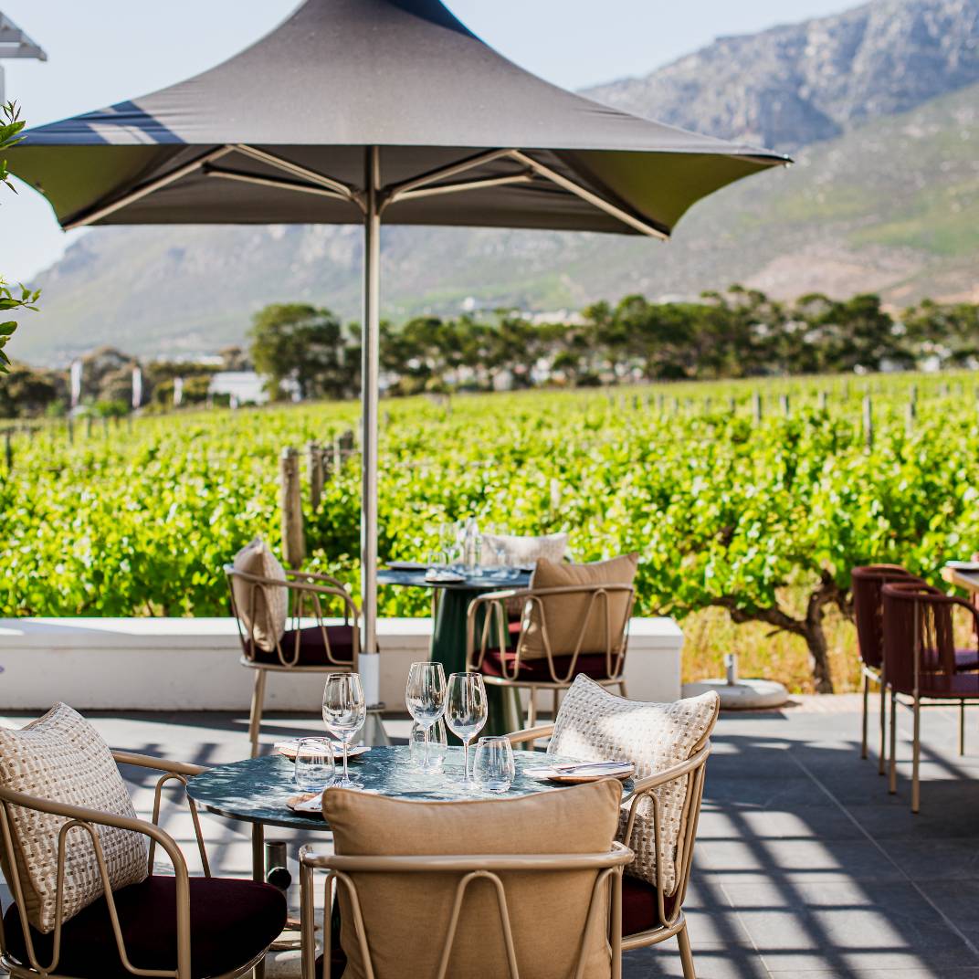 Cellar terrace · long lunch
